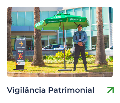 Vigiliancia Patrimonial